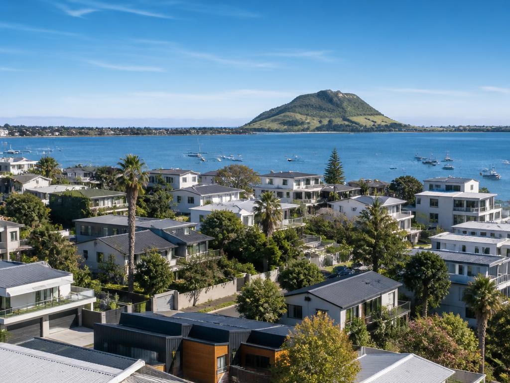 Tauranga homes and city landscape